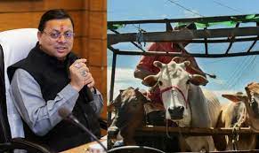 उत्तराखंड में पशु तस्करों को लेकर मुख्यमंत्री पुष्कर सिंह धामी सरकार ने सख्त रुख अपना दिया है।