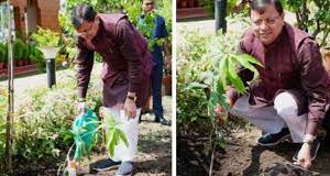 मुख्यमंत्री पुष्कर सिंह धामी ने हरेला पर्व के अवसर पर वृक्षारोपण किया