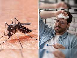 जनपद देहरादून डेंगू से  सम्बन्धित किसी भी शिकायत पर 18001802525 पर काॅल कर सकते है