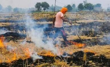 पराली जलाई तो होगी कार्रवाई, सरकार ने किसानों को चेताया