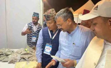 मेयर ने किया पर्यटन महोत्सव में स्टॉलों का अवलोकन